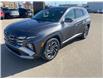 2025 Hyundai Tucson Plug-In Hybrid Ultimate (Stk: 25-304) in Prince Albert - Image 1 of 15