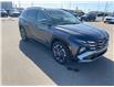 2025 Hyundai Tucson Plug-In Hybrid Ultimate (Stk: 25-304) in Prince Albert - Image 7 of 15