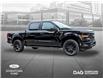 2025 Ford F-150 STX (Stk: 250493) in Toronto - Image 3 of 23