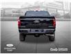 2025 Ford F-150 STX (Stk: 250493) in Toronto - Image 4 of 23