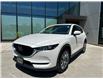 2021 Mazda CX-5 GS (Stk: H9959A) in Toronto - Image 9 of 21