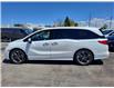 2023 Honda Odyssey Touring (Stk: 25-3101A) in Newmarket - Image 7 of 13
