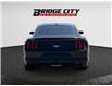 2019 Ford Mustang EcoBoost (Stk: 3621) in Lethbridge - Image 4 of 13