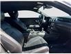 2019 Ford Mustang EcoBoost (Stk: 3621) in Lethbridge - Image 13 of 13