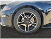 2019 Ford Mustang EcoBoost (Stk: 3621) in Lethbridge - Image 12 of 13