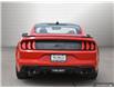 2021 Ford Mustang GT (Stk: B12514) in Orangeville - Image 4 of 32