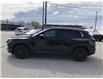 2025 Mazda CX-50 GS-L (Stk: CMGJ00179) in Chatham - Image 8 of 20