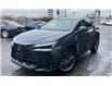 2023 Lexus NX 350h Base (Stk: 30U19873) in Chilliwack - Image 1 of 9