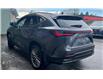 2023 Lexus NX 350h Base (Stk: 30U19873) in Chilliwack - Image 7 of 9