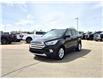 2019 Ford Escape SEL (Stk: U15939) in Hague - Image 4 of 14