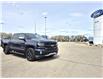 2018 Chevrolet Silverado 1500  (Stk: U07164) in Hague - Image 2 of 14