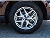2021 Ford Edge SEL (Stk: VFNS00856A) in Chatham - Image 11 of 29