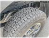 2025 Ford Ranger XLT (Stk: 0R5204) in Kamloops - Image 7 of 26