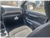 2025 Ford Ranger XLT (Stk: 0R5204) in Kamloops - Image 25 of 26