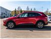 2020 Ford Escape SEL (Stk: B85240) in Okotoks - Image 3 of 27