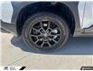 2025 Subaru Crosstrek Wilderness (Stk: 165334) in Tecumseh - Image 6 of 25
