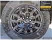2023 Chevrolet Colorado Trail Boss (Stk: P6504) in Kincardine - Image 6 of 13