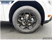 2025 Ford Maverick XLT (Stk: 27076) in Dartmouth - Image 7 of 24