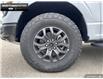 2025 Ford F-150 Tremor (Stk: 5F172689) in Brantford - Image 6 of 21