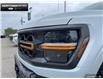 2025 Ford F-150 Tremor (Stk: 5F172689) in Brantford - Image 8 of 21