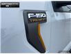 2025 Ford F-150 Tremor (Stk: 5F172689) in Brantford - Image 9 of 21