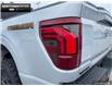 2025 Ford F-150 Tremor (Stk: 5F172689) in Brantford - Image 10 of 21