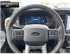 2025 Ford F-150 Tremor (Stk: 5F172689) in Brantford - Image 13 of 21