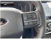 2025 Ford F-150 Tremor (Stk: 5F172689) in Brantford - Image 15 of 21