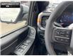 2025 Ford F-150 Tremor (Stk: 5F172689) in Brantford - Image 16 of 21