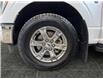 2022 Ford F-150 XLT (Stk: C4856) in ROSETOWN - Image 17 of 17