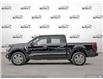 2025 Ford F-150 Platinum (Stk: W7LF012) in Hamilton - Image 3 of 26