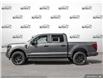 2025 Ford F-150 STX (Stk: 25F1810) in St. Catharines - Image 3 of 25