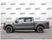 2025 Ford F-150 XLT (Stk: FH174) in Sault Ste. Marie - Image 3 of 25