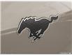 2025 Ford Mustang Mach-E Select (Stk: K1S15616) in Richmond - Image 7 of 8