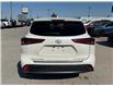 2020 Toyota Highlander Limited (Stk: 5B037A) in Blenheim - Image 4 of 22