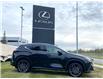 2025 Lexus NX 350 Base (Stk: 250866) in Calgary - Image 2 of 7