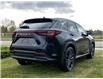 2025 Lexus NX 350 Base (Stk: 250866) in Calgary - Image 3 of 7