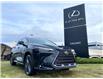2025 Lexus NX 350 Base (Stk: 250866) in Calgary - Image 7 of 7
