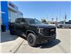 2025 GMC Sierra 1500 Elevation (Stk: G329044) in Newmarket - Image 3 of 28