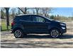 2020 Ford EcoSport Titanium (Stk: 386068) in Calgary - Image 10 of 28