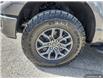 2025 Ford F-150 Tremor (Stk: TS266) in Kamloops - Image 10 of 31