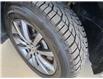 2024 Volkswagen Tiguan Highline R-Line (Stk: TC0843) in Orleans - Image 14 of 17