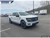 2025 Ford F-150 XLT (Stk: 27137) in Dartmouth - Image 6 of 24