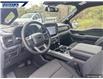 2025 Ford F-150 XLT (Stk: 27137) in Dartmouth - Image 12 of 24