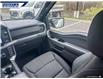 2025 Ford F-150 XLT (Stk: 27137) in Dartmouth - Image 24 of 24