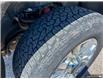 2022 Chevrolet Silverado 2500HD High Country (Stk: U-2958) in Tillsonburg - Image 7 of 23