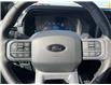 2025 Ford F-150 Lariat (Stk: VF1F00790) in Chatham - Image 14 of 21