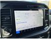 2025 Ford F-150 Lariat (Stk: VF1F00790) in Chatham - Image 17 of 21