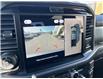 2025 Ford F-150 Lariat (Stk: VF1F00790) in Chatham - Image 19 of 21