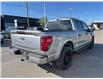 2025 Ford F-150 STX (Stk: VF1F00824) in Chatham - Image 4 of 18